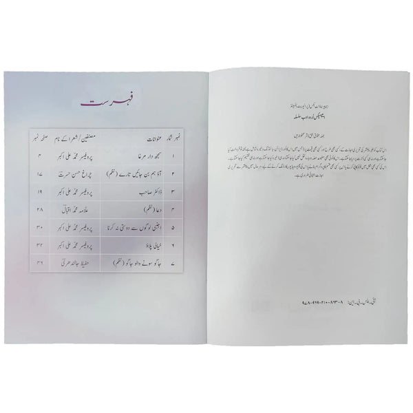 Apex Urdu Adab Silsala 2 Aps