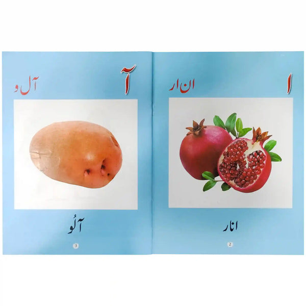 Gohar Blue Urdu Picture Book