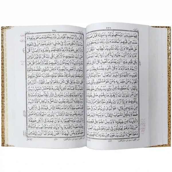Tajweedi Quran 16 Lines 876-2L