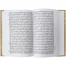 Tajweedi Quran 16 Lines 876-2L