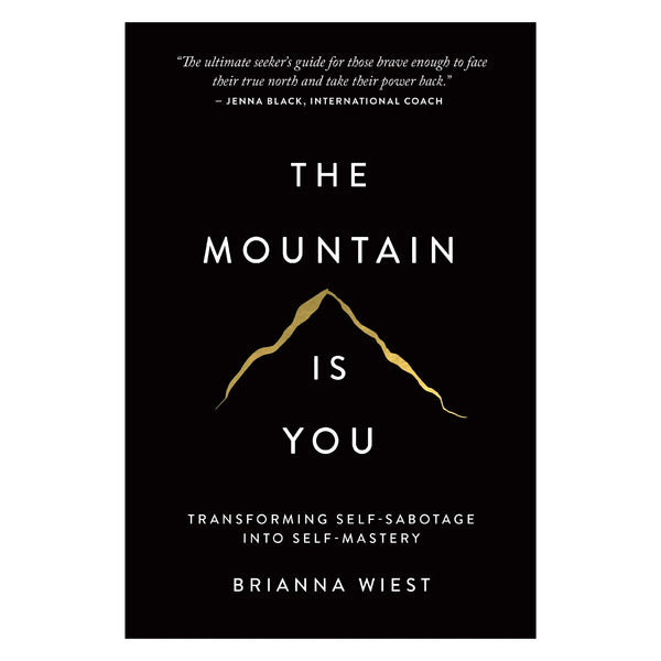 The Mountain Is You By Brianna Wiest